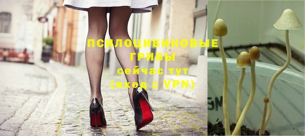 хмурый Снежногорск